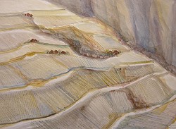 Aquarell M. M. Reisser