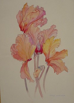 Katharina Wallner
